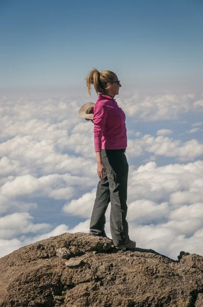 Über den Wolken Kilimandscharo — Stockfoto