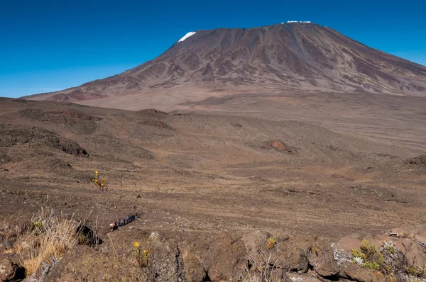 Trekkers overschrijding van het zadel op kilimanjaro — Stockfoto