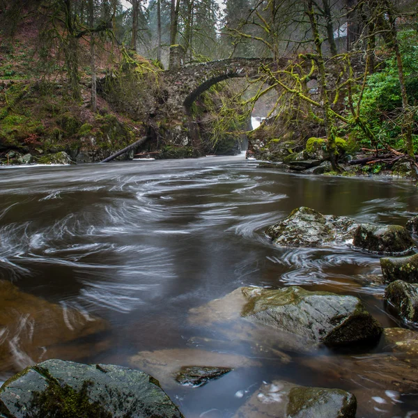 Hermitage most, dunkeld — Stock fotografie