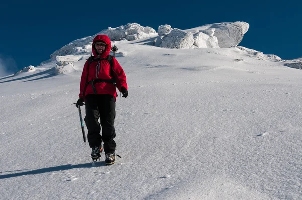 Winter Walker — Stock Photo, Image