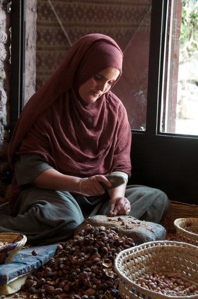 Extrayendo el Kernal de Argan —  Fotos de Stock