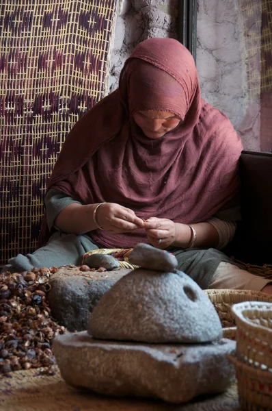 Checking the Argan kernals — Stock Photo, Image