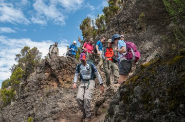 Shira sırtta, Kilimanjaro Dağı