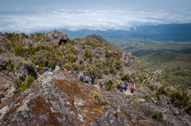 Shira kamp, kilimanjaro doğru artan