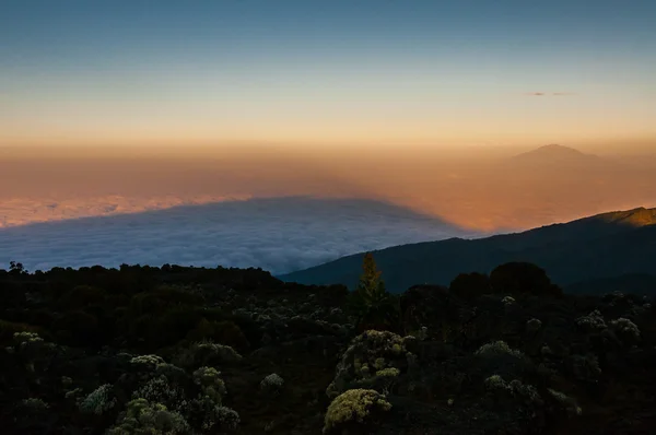 Skuggan av kilimanjaro — Stockfoto