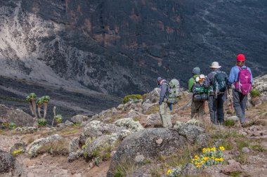 küçük bir grup Barranco kamp, kilimanjaro azalan