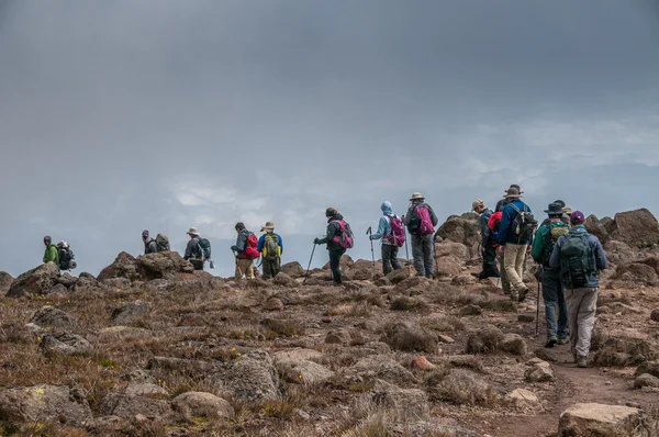 Grupp vandring på kilimanjaro — Stockfoto