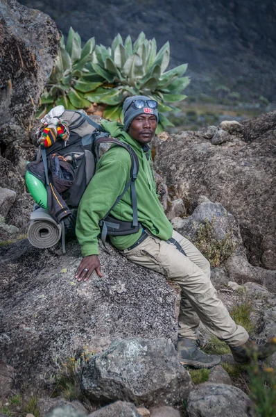 Tanzaniska bergsguide, kilimanjaro — Stockfoto