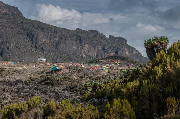 Witryna kempingu Barranco, Kilimandżaro — Zdjęcie stockowe