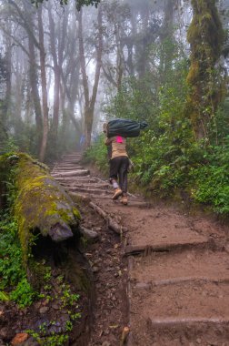 porter iz Kilimanjaro Dağı üzerinde yukarı doğru