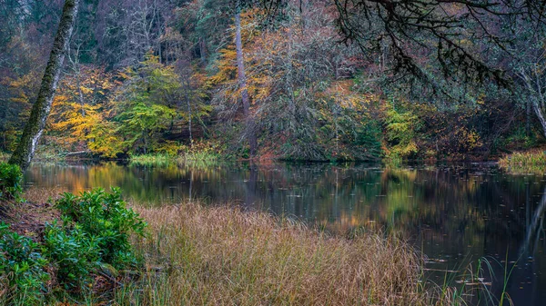 Ένα Δύστροπο Πολύχρωμο Φθινοπωρινό Δάσος Πάνω Από Μια Ήρεμη Αντανάκλαση — Φωτογραφία Αρχείου