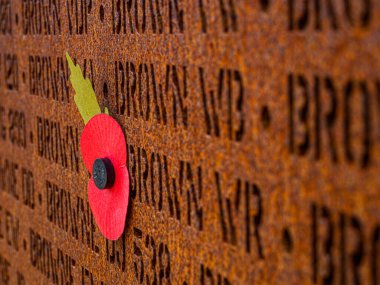 Poppy, 2. Dünya Savaşı sırasında bombardıman komutanlığı sırasında hayatını kaybeden 57.000 adamın anısına.