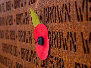 Poppy, 2. Dünya Savaşı sırasında bombardıman komutanlığı sırasında hayatını kaybeden 57.000 adamın anısına.