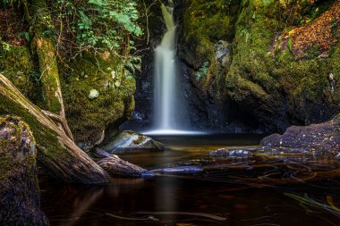 Campsie Şelalesi 'ndeki Fin Glen' de Black Spout Şelalesi. İskoçya 'nın Clachan kasabası yakınlarında.