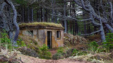 WW2 Pill-box or observation post from world war 2 in Lossiemouth Forest, Moray, Scotland