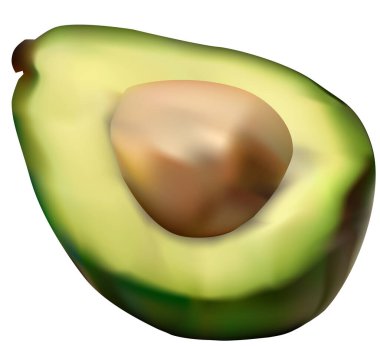 Gerçekçilik tekniğinde avokado (vektör grafikleri)