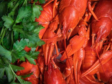 Kerevit partisi, restoran, kafe, bar menüsü.