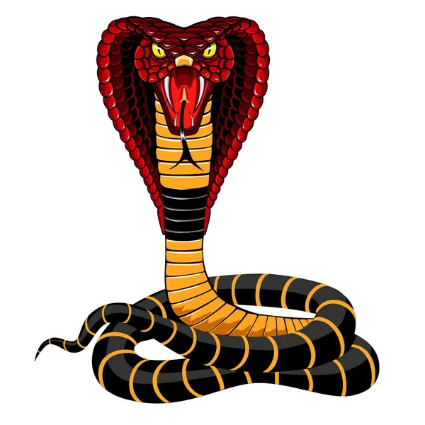 Cobra — Vector de stock