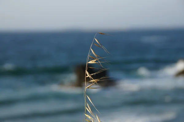 O mar — Fotografia de Stock