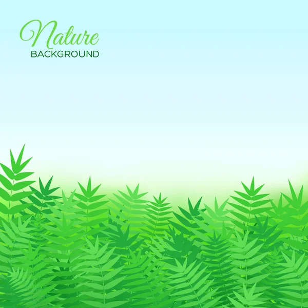 Fondo natural — Vector de stock