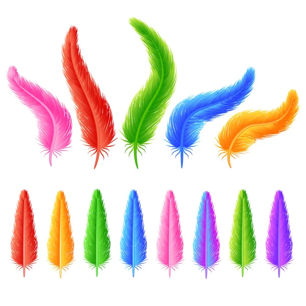 L'ensemble de plumes colorées — Image vectorielle