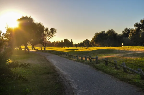 Zonsondergang — Stockfoto