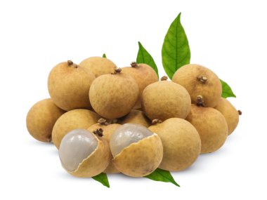 Beyaz arkaplanda yaprağı olan Longan