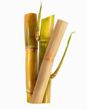 Beyaz arkaplanda izole şeker kamışı