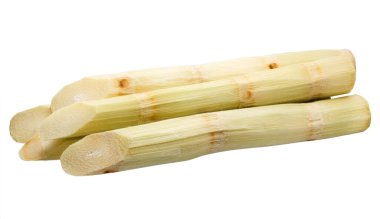 Beyaz arkaplanda izole şeker kamışı