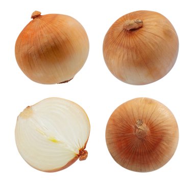 Soğan ampullerinin tek bir nesnesi beyaz arkaplanda izole edildi