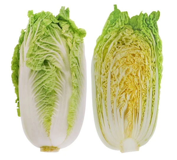 Fresh Chinese Cabbage Isolated White Background — Stock Photo, Image