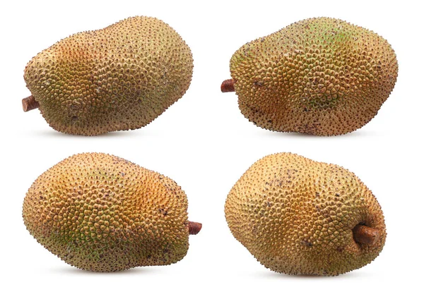 Jackfruit Isolato Sfondo Bianco — Foto Stock