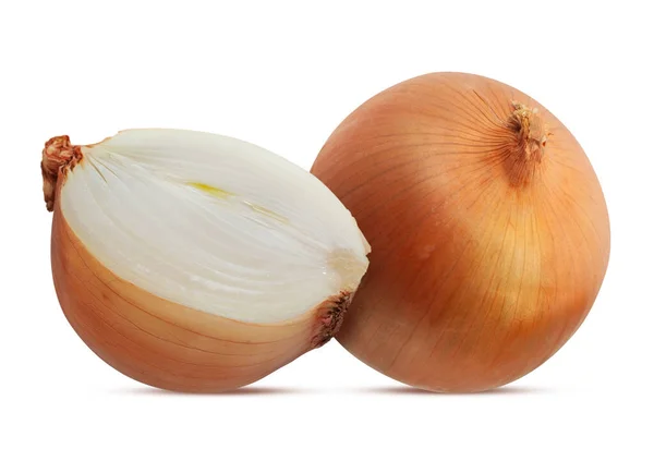 Single Object Onion Bulbs Isolated White Background — Stock Photo, Image