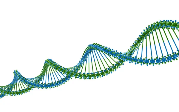 ДНК-структура Стоковое Фото