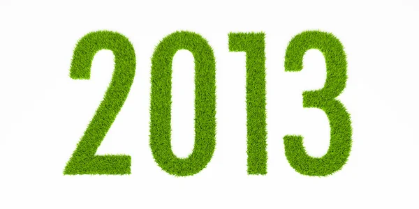 Grass 2013 — Stock Photo, Image