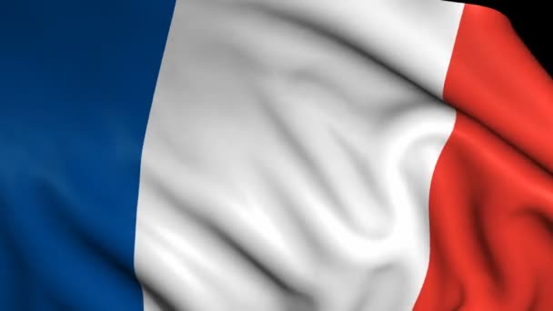 The Flag of France — Stock Video