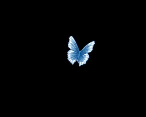 Butterfly ascension — Stockvideo