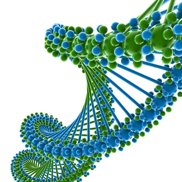 ДНК-цепь Стоковое Фото