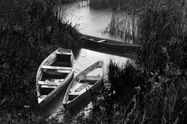 Старі човни на річці — стокове фото