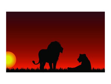 Günbatımı ile lions