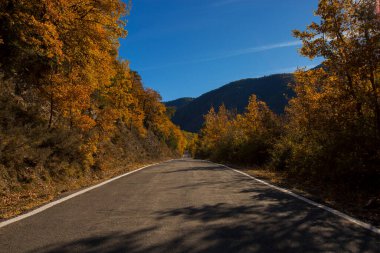 Sonbahar ormanlarında dağ yolunda