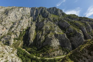 Farklı ağaçlar ve büyük dağlarla sonbahar renklerinin manzarası