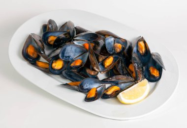 Bir tabak İspanyol midyesi, beyaz arkaplan