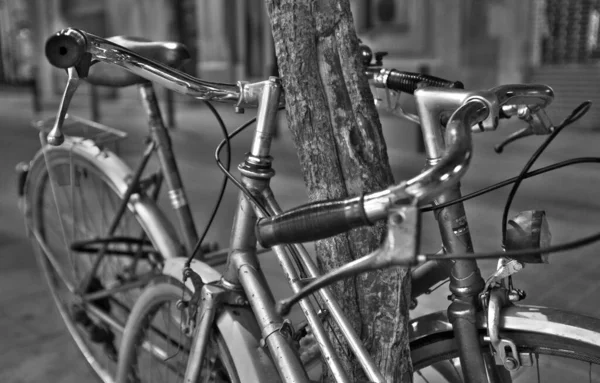 Dos Bicicletas Simulando Abrazo Blanco Negro —  Fotos de Stock