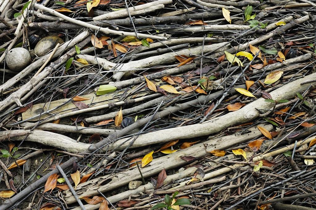 Litter fall — Stock Photo © Momo5287 31360303