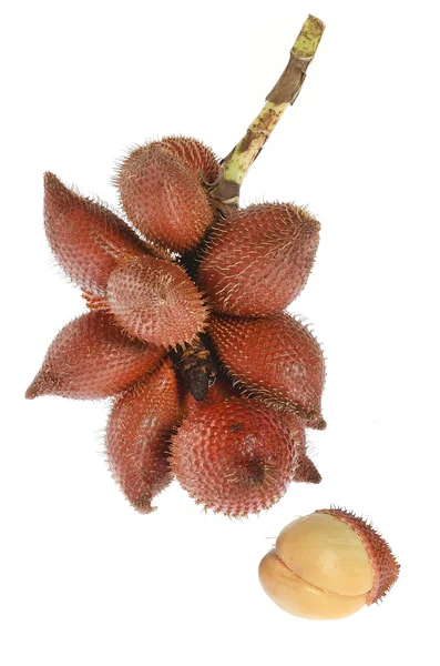 Тропические фрукты Салаки — стоковое фото