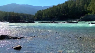Hızlı akan geniş ve tamamen akan bir dağ nehri. Büyük kayalar sudan dışarı çıkar. Büyük dağ nehri Katun, turkuaz renk, Altai Dağları, Altai Cumhuriyeti.