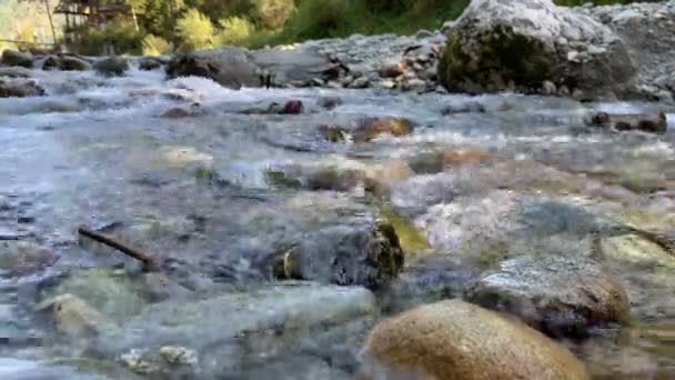 Wild Mountain River Close Abundant Clear Stream Detail Statické Shot — Stock video