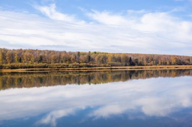Ormanların arasında güzel, geniş bir nehir sonbaharı. Sonbahar renkleriyle sakin ve sessiz bir yer. Nehir adasının ortasında. Yukarıdan uzaklığa görüntüle