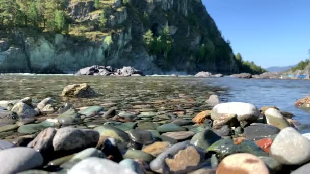 Быстро Текущая Широкая Полноводная Горная Река Большие Камни Торчат Воды — стоковое видео